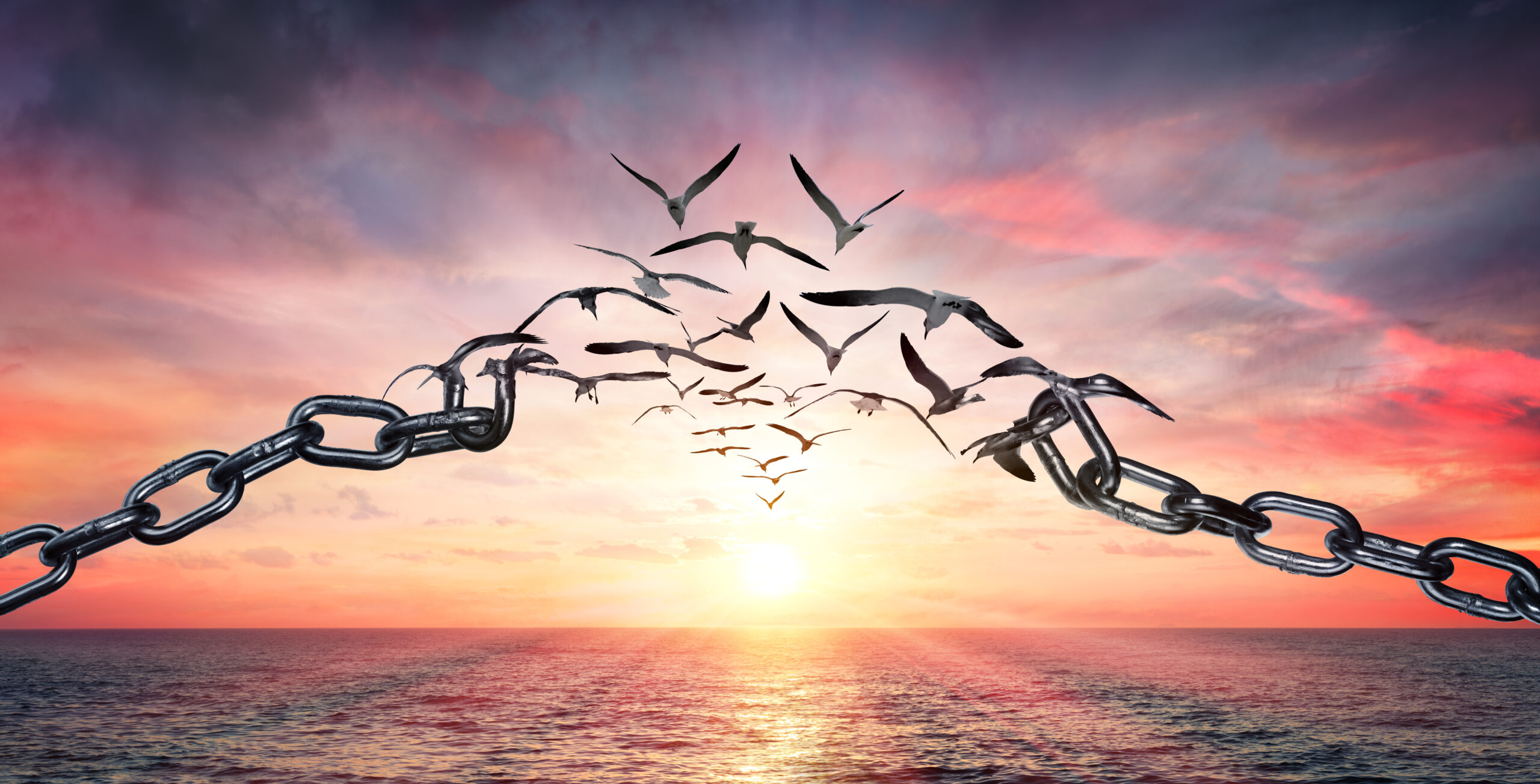 On The Wings Of Freedom - Birds Flying And Broken Chains - Charg